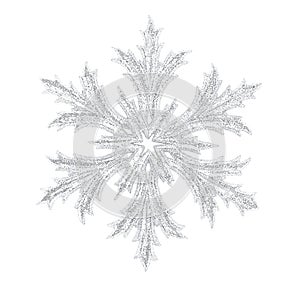 Shiny snowflake