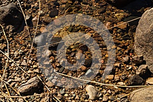 Shiny transparent water. clear water with pebbles and stone on the bottom. shining reflections of sun rays and ripples on the