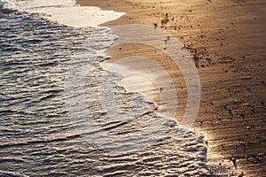 Shiny tropic sea wave on golden beach sand in sunset light