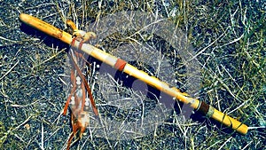 Shiny varnished river cane Native American six holes flute photo
