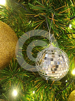 Shiny Xmas ball on gree pine tree