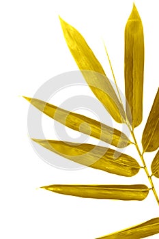 Shiny yellow leaf gold foil texture black background