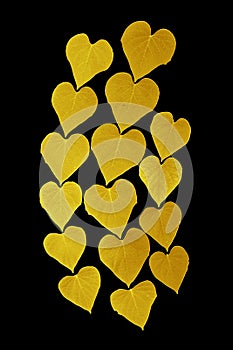 Shiny yellow leaf gold foil texture black background