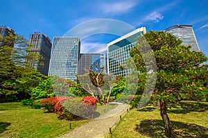 Shiodome buildings in Hamarikyu Gardens photo