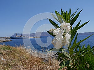 Ship in the distance photo