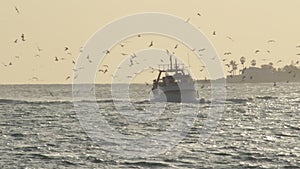 Ship of fishers with seagulls flying around navigating at sunset