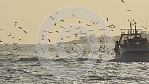 Ship of fishers with seagulls flying around navigating at sunset