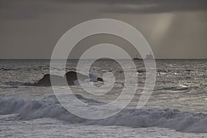 Ship on the horizon in an overcast evening