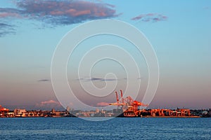 Ship loading cranes