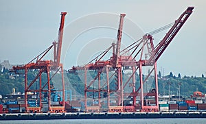 Ship loading cranes