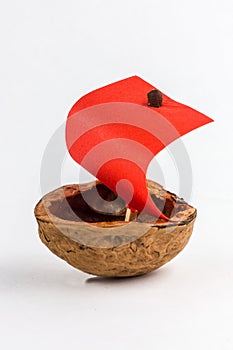 Ship from a nutshell