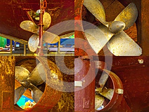 Ship propellers of a marine ship