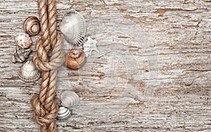 Ship rope, shells and old wood