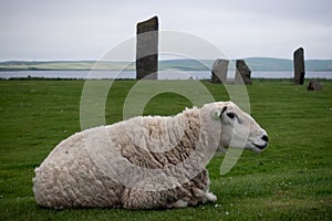 Ship at the Standing Stones of Stenness photo