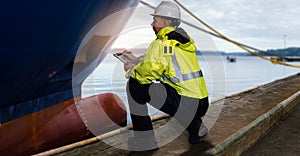 Ship supervisor engineer inspector stands at the dockside in a port. Wearing safety helmet and yellow vest. Cargo shipping