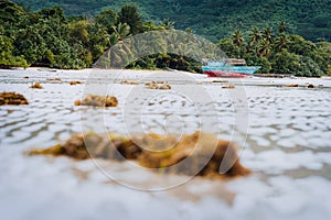 Ship on tropical beach during low tide. Mahe, Seychelles sand lagoon coastline view with palm trees and jungle in