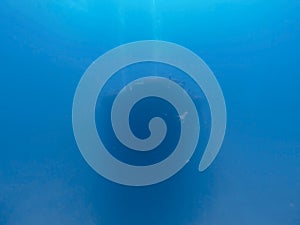 Ship wreck during a dive