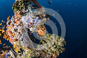 Ship Wreck in maldives indian ocean