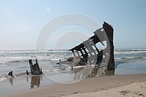 The Ship Wreck of the Peter Iredale