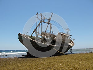 Ship wreck on the Red Sea photo