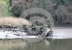 Ship wreck river Teifi Cardigan