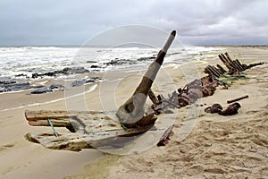 Barco en esqueleto Costa 