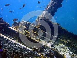 Ship Wreck Virgin Islands, Caribbean