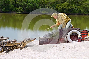 Ship wrecked castaway swamp man alligator attack