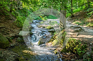 Shipot waterfall on a mountain river among stones and rocks in the Ukrainian Carpathians