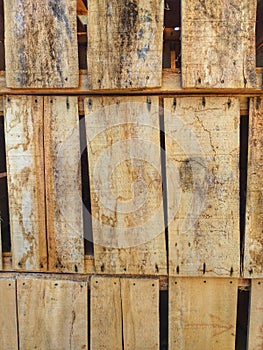 shipping board papan kayu