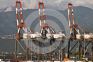 Shipping crane