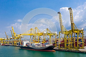 Shipping port and shipping containers with crane