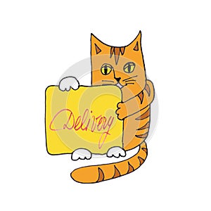 Shipping. the red cat holds a pink yellow with the inscription Delivery. graphic