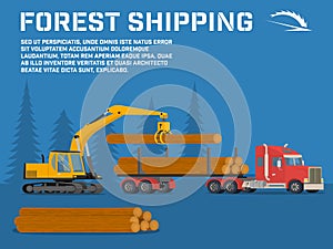 Shipping timber. Loading felled trees in the timber crane