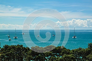 Ships on blue sea water, vegetation in the foreground, clouds and blue sky in the background