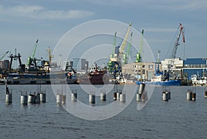 Ships and cranes in the harbour
