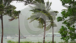 Ships in a harbor under a heavy rain and storm wind. Tropical storm concept. Contains natural sound