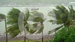 Ships in a harbor under a heavy rain and storm wind. Tropical storm concept. Contains natural sound