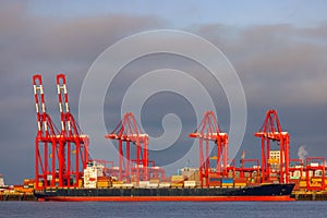 Ships loading cargo at Seaforth