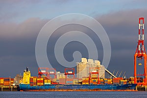 Ships loading cargo at Seaforth