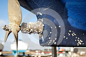Ships propeller and barnacles