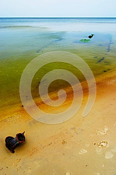 Shipwreck on the Baltic sea shore.