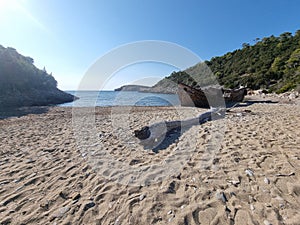 shipwreck on the beach of agalypa of skyros in greece pine trees clear transparent water in the sea