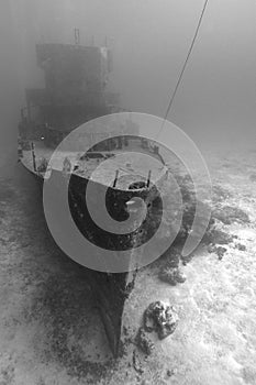 Shipwreck C-53 in Cozumel, Mexico