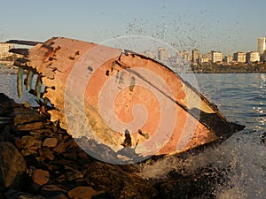 Shipwreck on the coast photo