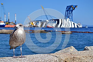 Shipwreck of a cruise ship near to Giglio island, Italy