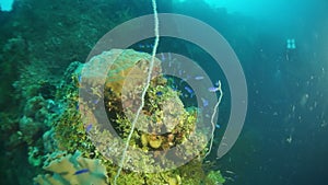 Shipwreck diving underwater in Truk Lagoon on Chuuk Islands.