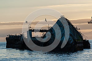 Shipwreck off the Californian Coast