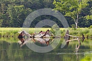 Shipwreck of the Sea scout in Mallows bay