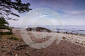 Shipwreck Swiks on the swedish shore by Trollskogen